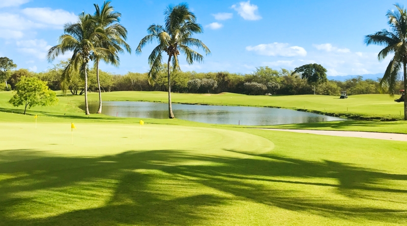 Campo de Golf con Estanque y Palmas de Coco