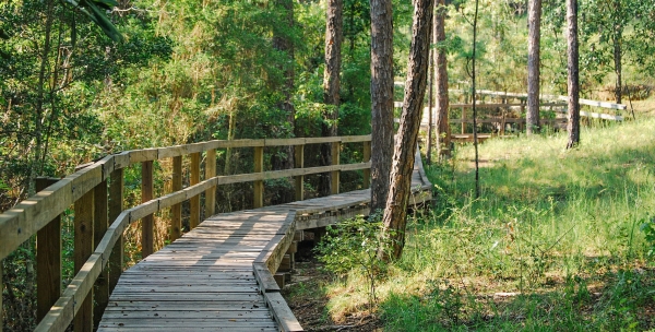 Naturpfad in einem Park in Florida