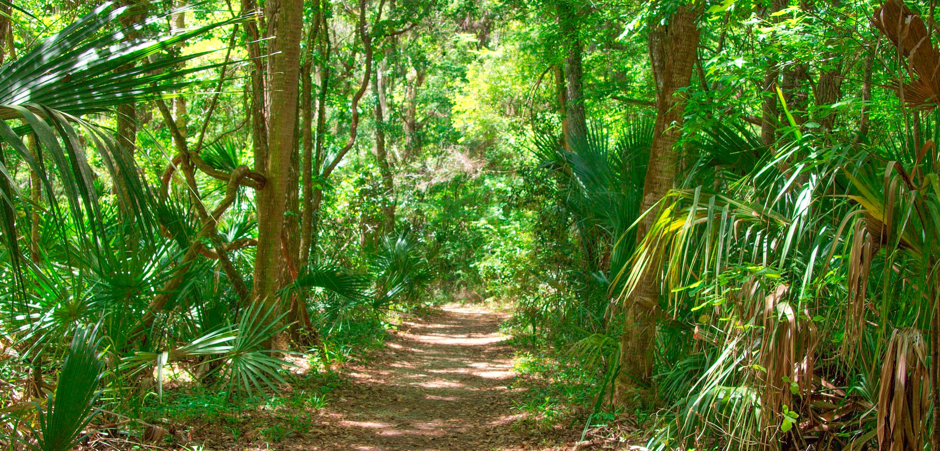 Sendero Natural en Florida